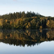 Salemer See  Der ruhige Salemer See mit Wald und kleinem Bootshaus, spiegelt im klaren Wasser.