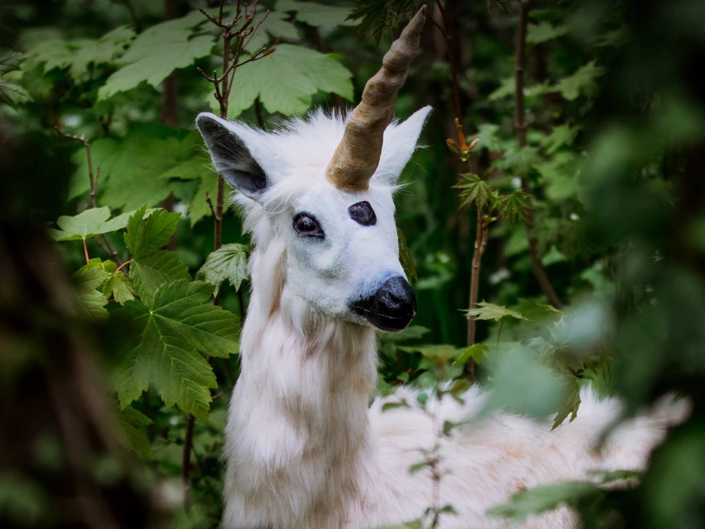 Ausstellung Bad Wildungen Fast vergessene Kreaturen-.jpg