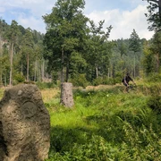 Auf der Radroute 3029 im Nationalpark Böhmische Schweiz in der Nähe vom Šaunštejn