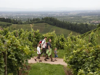 Auch Familien können die Weinwanderung machen