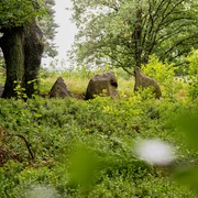 Oldendorfer Totenstatt (2).JPG Herbstliche Bäume mit Steinen im Wald. Einladend und ruhig. Ein Ort für Erholung und Entdeckung.