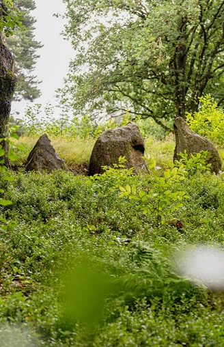 Oldendorfer Totenstatt (2).JPG Herbstliche Bäume mit Steinen im Wald. Einladend und ruhig. Ein Ort für Erholung und Entdeckung.