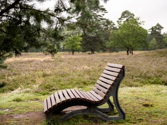 Oldendorfer Totenstatt Bank (3).JPG Eine hölzerne Bank steht allein auf einer Wiese, umgeben von Bäumen und Heidekraut.