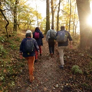 Königstein Heilklima-Wanderung im Herbst (Heiko Rhode.251024_069 für den Hessischen Heilbäderverband).jpg