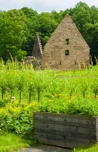 Klosterpark Altzella Nossen