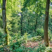 _2493588.jpg