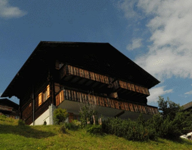 Aussenansicht Sommer 1