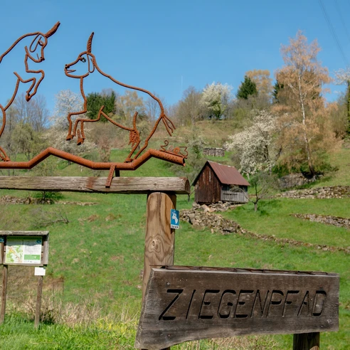 Ziegenpfad in Forbach Bermersbach