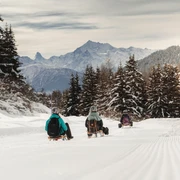 Schlittelweg Gopplerlücke - Riederalp