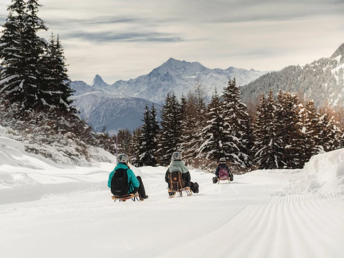 Schlittelweg Gopplerlücke - Riederalp