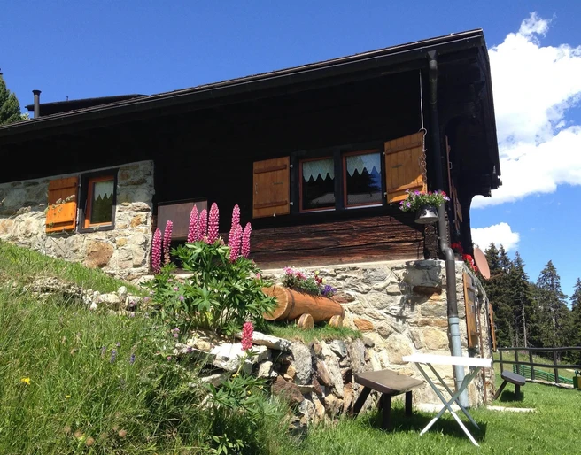 Aussenansicht Sommer