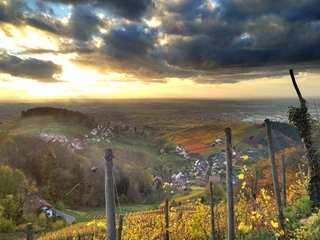 Burg Windeck Hotel und Restaurant, (Bühl), UKV 00431