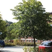 Parkplatz am KISPI Grünbach