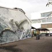 Helios37 Ein großflächiges Wandgemälde einer Schildkröte schmückt eine Außenwand in einem urbanen Hinterhof.A large-scale mural of a turtle adorns an exterior wall in an urban backyard.