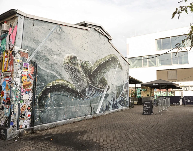Helios37 Ein großflächiges Wandgemälde einer Schildkröte schmückt eine Außenwand in einem urbanen Hinterhof.A large-scale mural of a turtle adorns an exterior wall in an urban backyard.