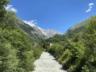 IMG_7313