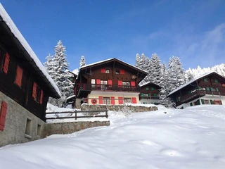 Bergpieper im Winter 2014