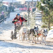 Pullman-city-quest-Schlittenhunderennen-Pullman-City-Harz