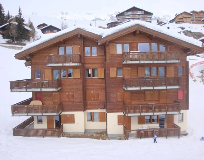 Alpengarten Winter neu
