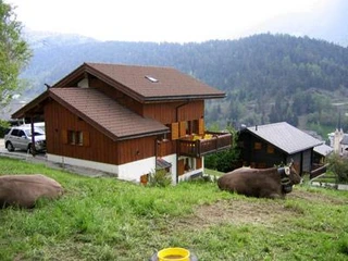 Haus