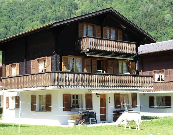 Süd-Ost Ansicht Sommer