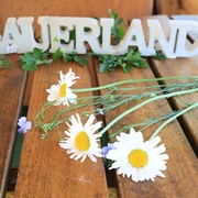 Sauerland Westfälisch schlemmen.jpg