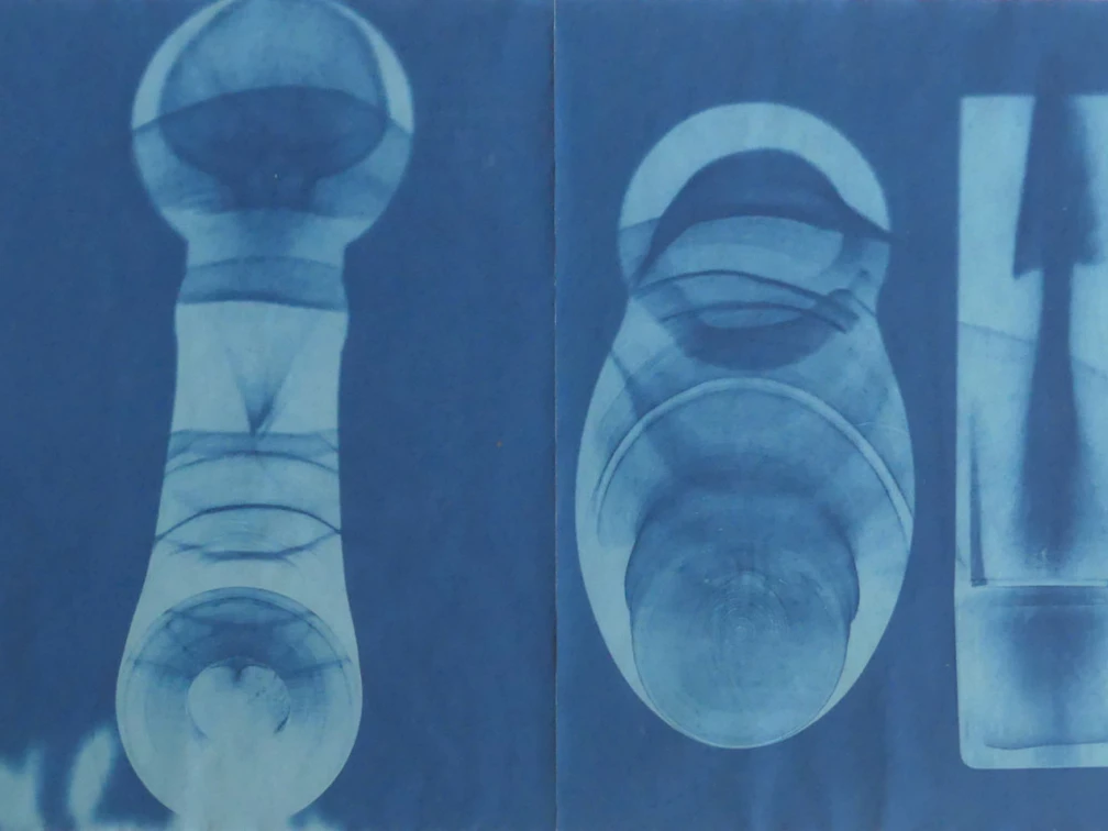 Cyanotypie von Gabriele Klages