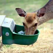 Wildtierhaltung