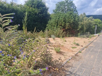 Sandarium am Wildbienenpfad Sandarium am Wildbienenpfad