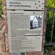 Moritz Mildenberg.jpg