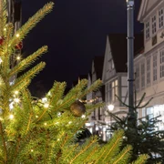 Weihnachtbäume in Celle
