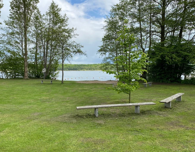 Badestelle Buchholz mit Bänken Eine große Wiese mit Bänken und Bäumen, im Hintergrund ein ruhiger See und bewölkter Himmel.