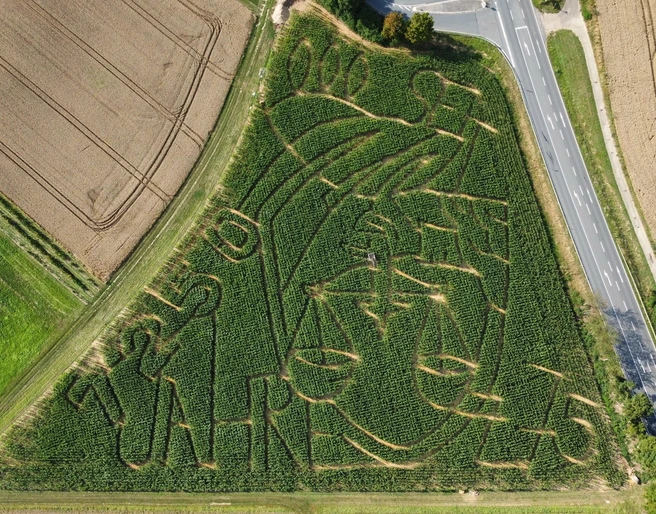 Maislabyrinth Hünfelden von oben Luftaufnahme des Maislabyrinths mit seinen Wegen, rechts daneben eine Straße, links und rechts sind abgeerntete Felder