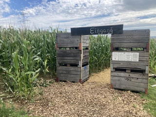 Maislabyrinth Hünfelden Eingang Maisfeld und Holzkisten bilden den Eingang zum Labyrinth