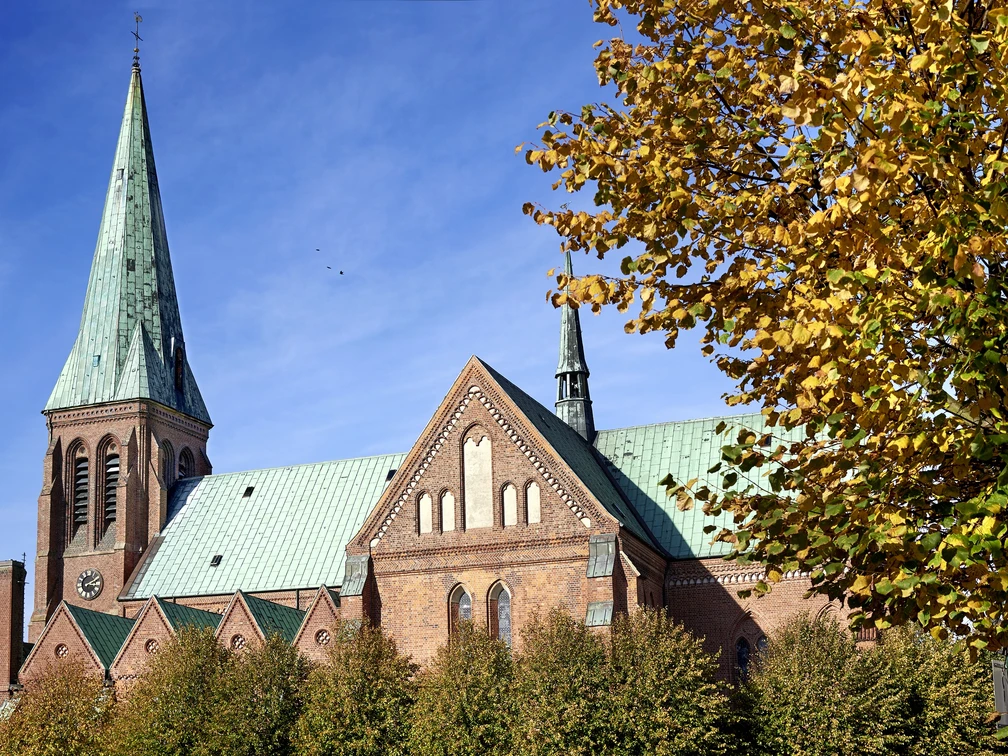 Dom_Herbst_Meldorf dt photocompany 2019.jpg