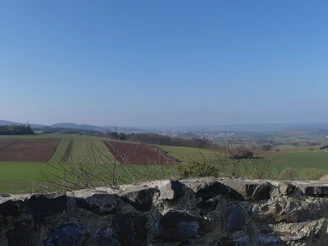 Blick von der Braunauer Warte in Richtung Bad Wildungen im Frühjahr