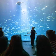 OZEANEUM Führung Jugendliche