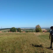 Klosterwanderweg - Feldweg nach Drübeck