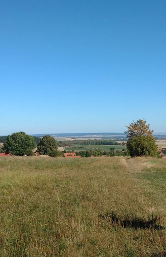Klosterwanderweg - Feldweg nach Drübeck