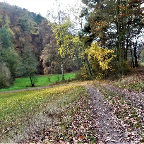Herbstimpressionen im Wölftetal
