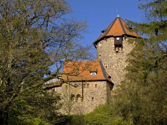 Burg Lichtenfels (Dalwigksthal)
