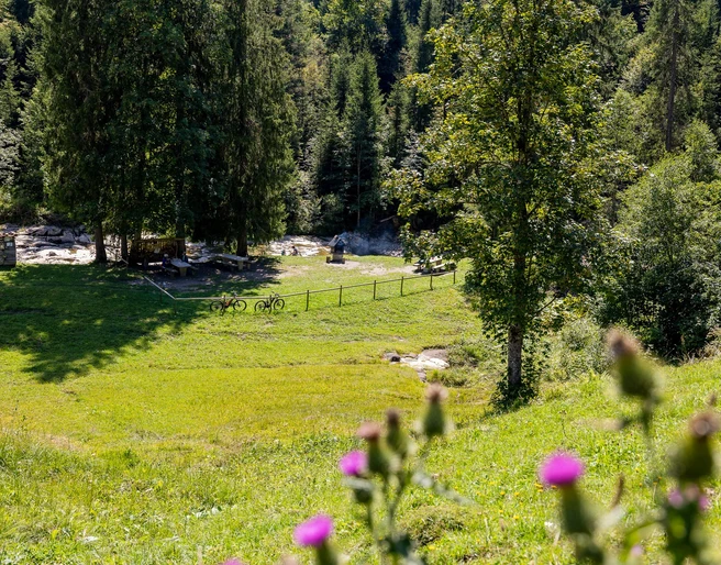 Feuerstelle Schneeberg in Sörenberg