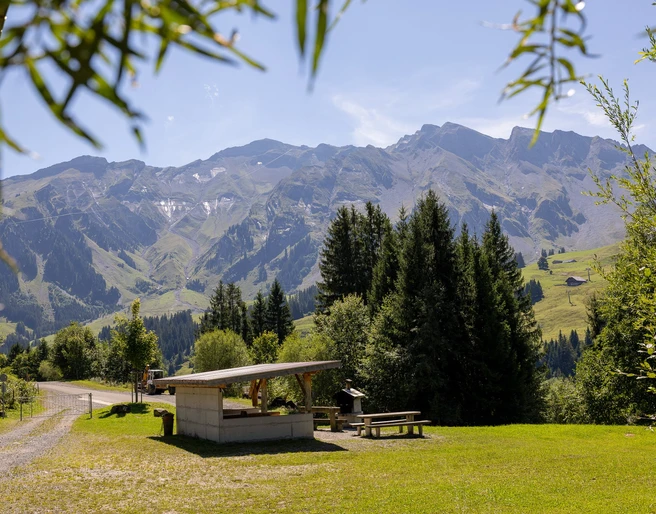 Feuerstelle Laui unten in Sörenberg