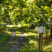 Lichtenfelser Rundradweg