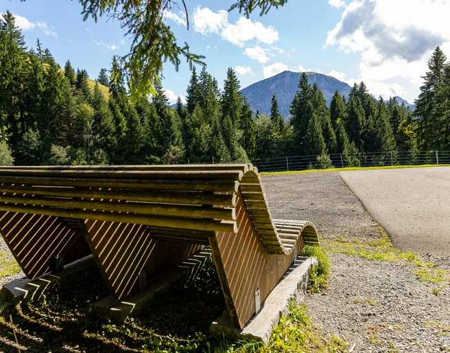 Feuerstelle Wissenegg in Finsterwald