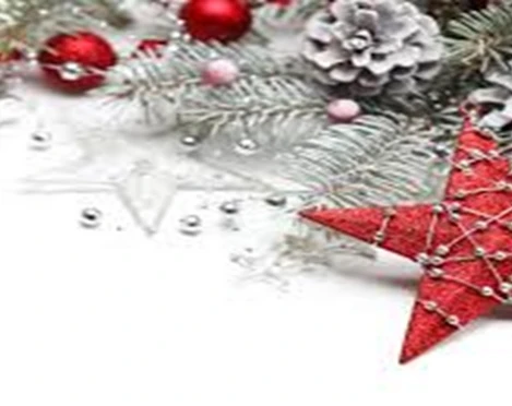 Weihnachten Sterne rot und Tannenzweig.png