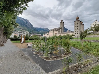 IMG20250901174412.jpg