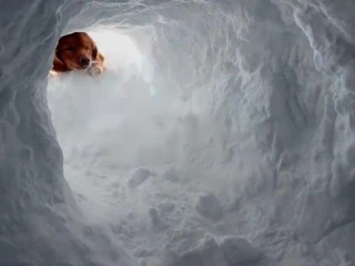 WhatsApp Image 2025-09-23 at 07.39.31.jpeg