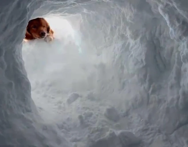 WhatsApp Image 2025-09-23 at 07.39.31.jpeg