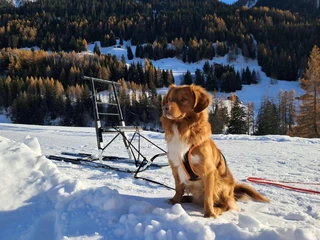 WhatsApp Image 2025-09-23 at 07.39.51.jpeg